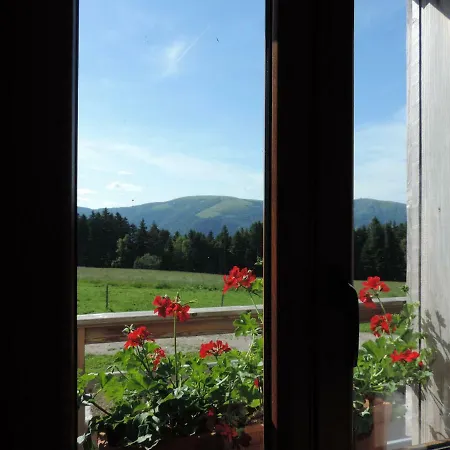 Dhotes Du Grand Hetre Schnepfenried * Mittlach